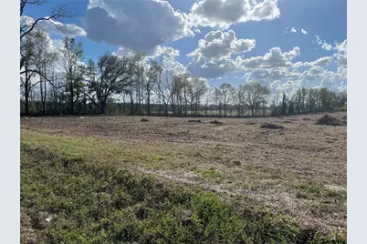 Tbd 185th Rd, Live Oak, FL 32060 - Photo 4