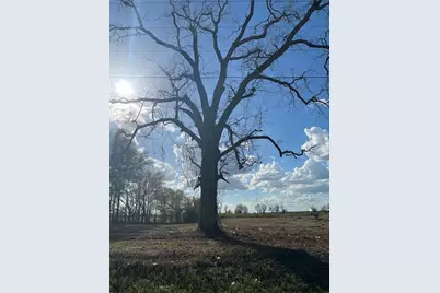 Tbd 185th Rd, Live Oak, FL 32060 - Photo 14