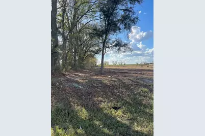 Tbd 185th Rd, Live Oak, FL 32060 - Photo 12