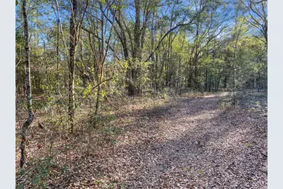 Sw Buffalo Ct, Fort White, FL 32038 - Photo 4