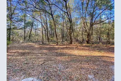 Sw Buffalo Ct, Fort White, FL 32038 - Photo 1