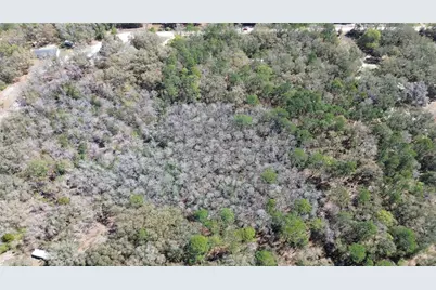 Sw Buffalo Ct, Fort White, FL 32038 - Photo 8