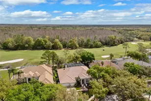 17815 Osprey Pointe Pl, Tampa, FL 33647 - Photo 2