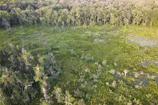 11816 SE County Road 234, Micanopy, FL 32667 - Photo 46