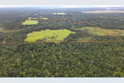 11816 SE County Road 234, Micanopy, FL 32667 - Photo 28