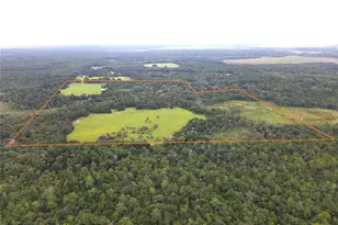 11816 SE County Road 234, Micanopy, FL 32667 - Photo 28