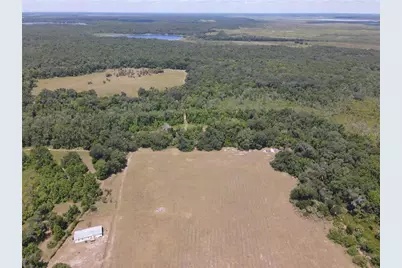 11816 SE County Road 234, Micanopy, FL 32667 - Photo 72