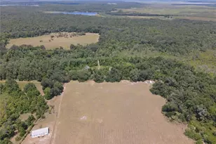 11816 SE County Road 234, Micanopy, FL 32667 - Photo 72