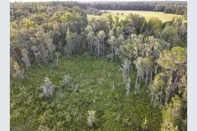 11816 SE County Road 234, Micanopy, FL 32667 - Photo 92