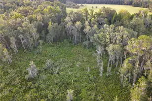 11816 SE County Road 234, Micanopy, FL 32667 - Photo 92