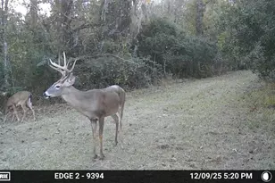 11816 SE County Road 234, Micanopy, FL 32667 - Photo 42