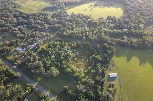 11816 SE County Road 234, Micanopy, FL 32667 - Photo 94