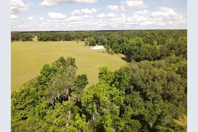 11816 SE County Road 234, Micanopy, FL 32667 - Photo 70
