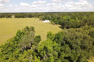 11816 SE County Road 234, Micanopy, FL 32667 - Photo 70
