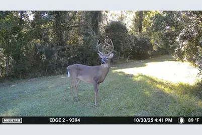 11816 SE County Road 234, Micanopy, FL 32667 - Photo 32