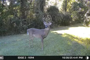 11816 SE County Road 234, Micanopy, FL 32667 - Photo 32