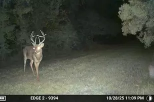 11816 SE County Road 234, Micanopy, FL 32667 - Photo 34