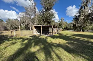 11816 SE County Road 234, Micanopy, FL 32667 - Photo 66