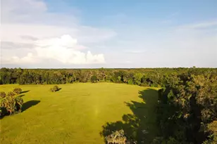 11816 SE County Road 234, Micanopy, FL 32667 - Photo 84