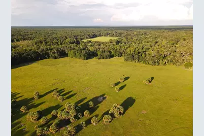 11816 SE County Road 234, Micanopy, FL 32667 - Photo 86