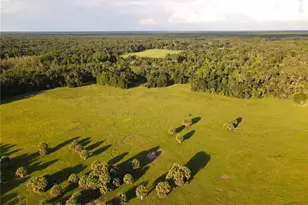 11816 SE County Road 234, Micanopy, FL 32667 - Photo 86