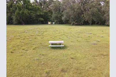 11816 SE County Road 234, Micanopy, FL 32667 - Photo 30