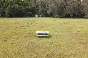 11816 SE County Road 234, Micanopy, FL 32667 - Photo 30