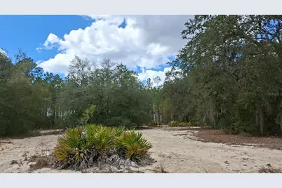 Fisher Way, Ocklawaha, FL 32179 - Photo 1