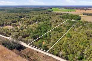 Tbd SW Fry Ave, Fort White, FL 32038 - Photo 1