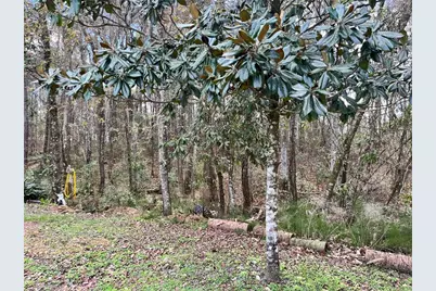 5608 W County Road 240, Lake Butler, FL 32054 - Photo 12