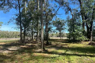 10304 NW 25th Ct, Branford, FL 32008 - Photo 10