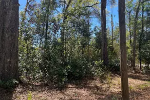 10304 NW 25th Ct, Branford, FL 32008 - Photo 32