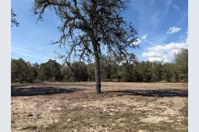 Tbd NE 106th Terrace, Bronson, FL 32621 - Photo 1