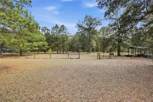 22317 NW 188 St, High Springs, FL 32643 - Photo 4