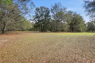 22317 NW 188 St, High Springs, FL 32643 - Photo 60