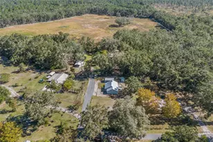 3109 E Bryant Ave, Bell, FL 32619 - Photo 30