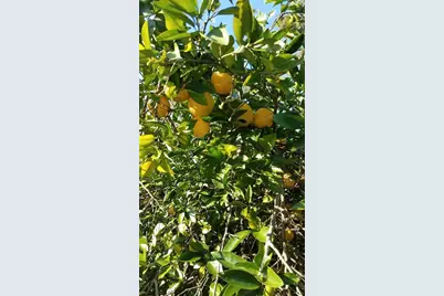 12182 SW State Road 45, Archer, FL 32618 - Photo 44