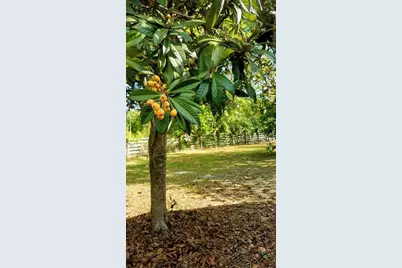 12182 SW State Road 45, Archer, FL 32618 - Photo 50