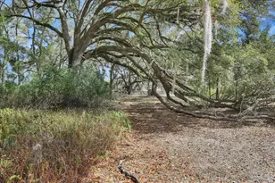 23748 NW 142nd Ave, High Springs, FL 32643 - Photo 8