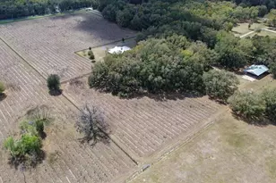 23748 NW 142nd Ave, High Springs, FL 32643 - Photo 58