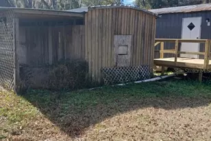 104 Ash St, Hawthorne, FL 32640 - Photo 4