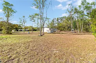 13882 SW 130th Ave, Archer, FL 32618 - Photo 22