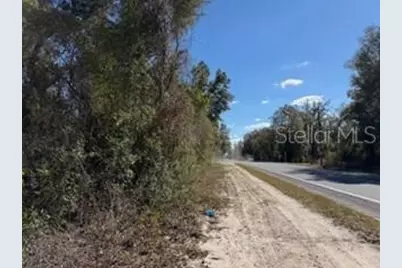 1668 NE 592nd Street, Old Town, FL 32680 - Photo 46