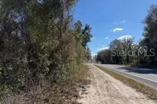 1668 NE 592nd St, Old Town, FL 32680 - Photo 46