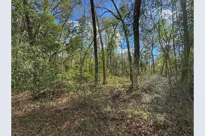 Tbd SW 14th Place, Bell, FL 32619 - Photo 2