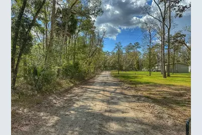 Tbd SW 14th Place, Bell, FL 32619 - Photo 1
