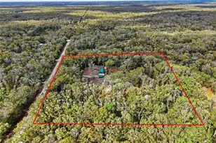 167 NE 212th Ave, Old Town, FL 32680 - Photo 48