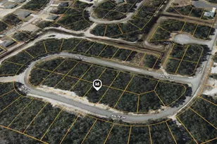 1238 Baltic Dr, Kissimmee, FL 34759 - Photo 1