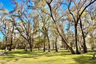4220 NW 235th Ave, Alachua, FL 32615 - Photo 28