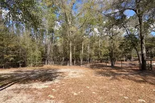 357 SW Conestoga Way, Fort White, FL 32038 - Photo 38